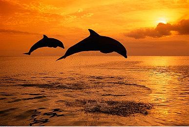 《钢铁收割》主机版将于今年晚些时候登陆新旧平台